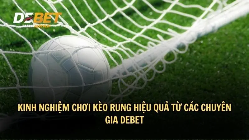 Kinh nghiệm chơi kèo rung hiệu quả từ các chuyên gia DEBET